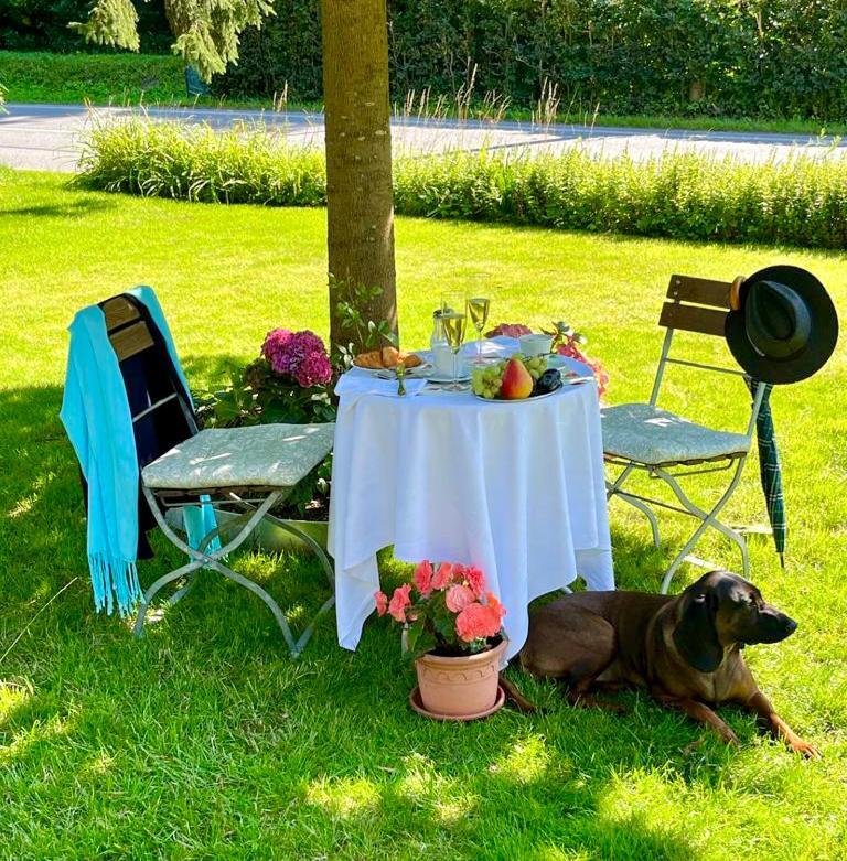 Pension Vila Julie Jilemnice Extérieur photo